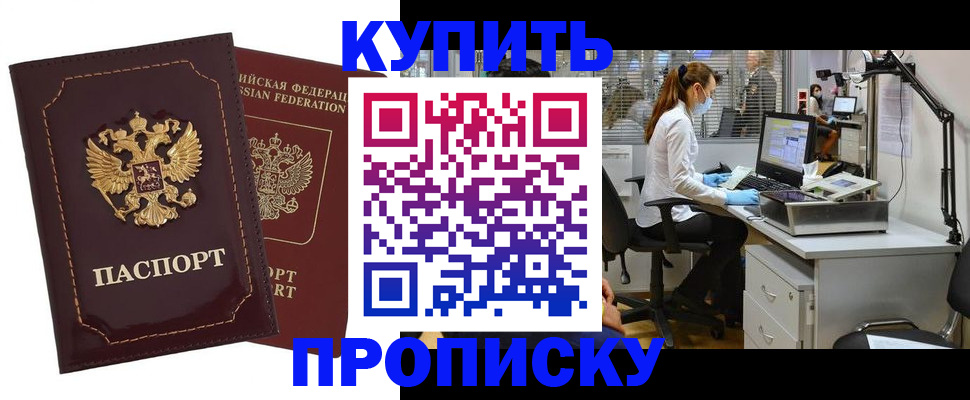 прописка гарантия в Ржеве